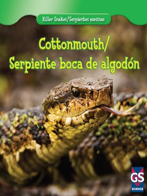 cover image of Cottonmouth / Serpiente boca de algodón